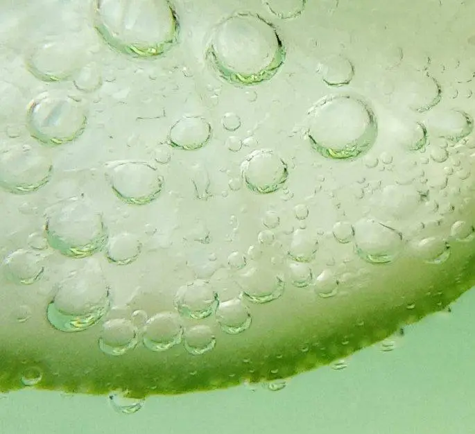 Redmi 10 Macro Shot