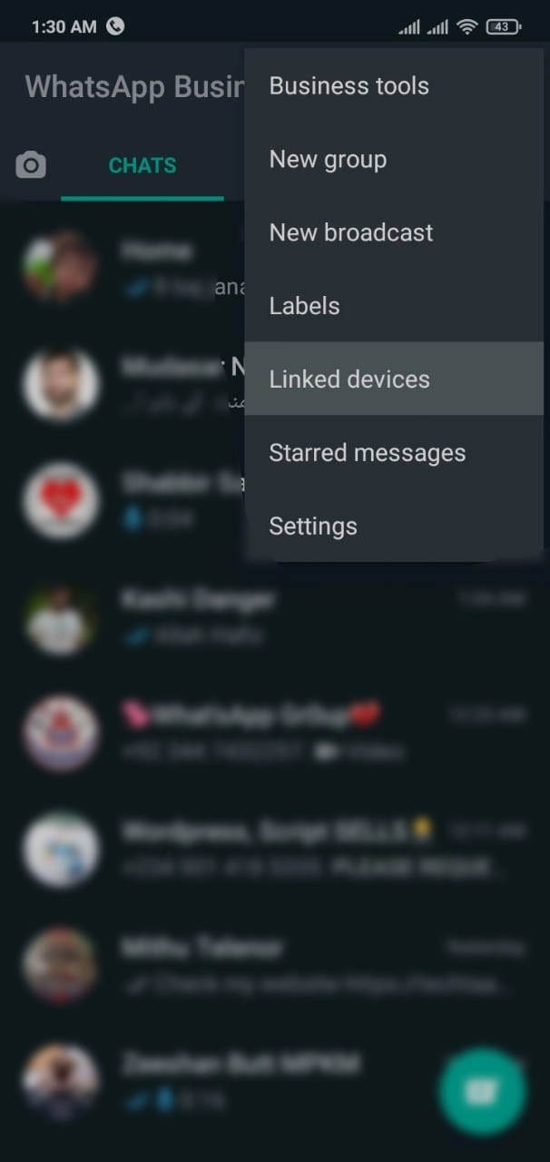 WhatsApp Features