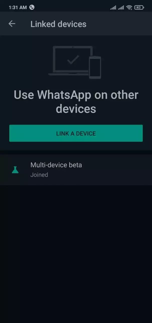 WhatsApp Features