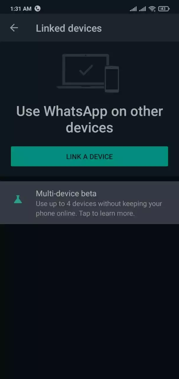 WhatsApp Features