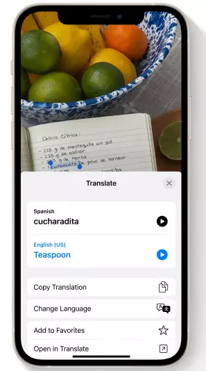 Live Text Translation Feature in iOS 15