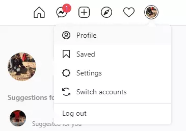 Instagram profile options