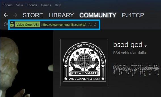 steam app showing friends steam id