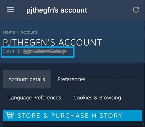 Steam id account on mobile app