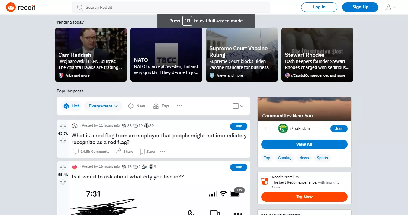 Reddit Interface