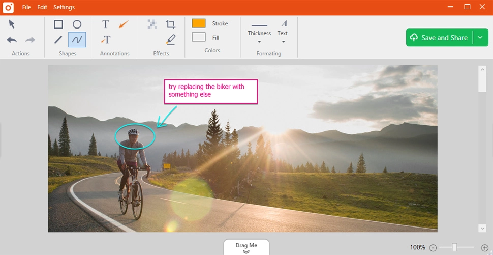 TinyTake interface