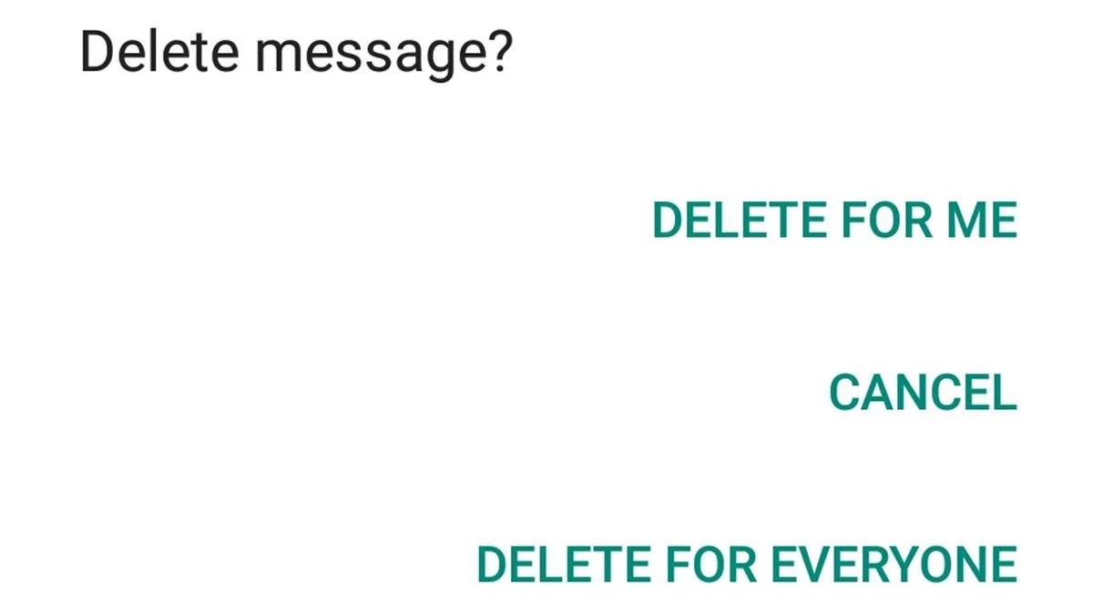 Whatsapp message delete option