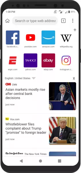 Kiwi Browser Interface