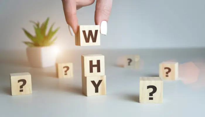 Why You Should Use Social Media Advertising
