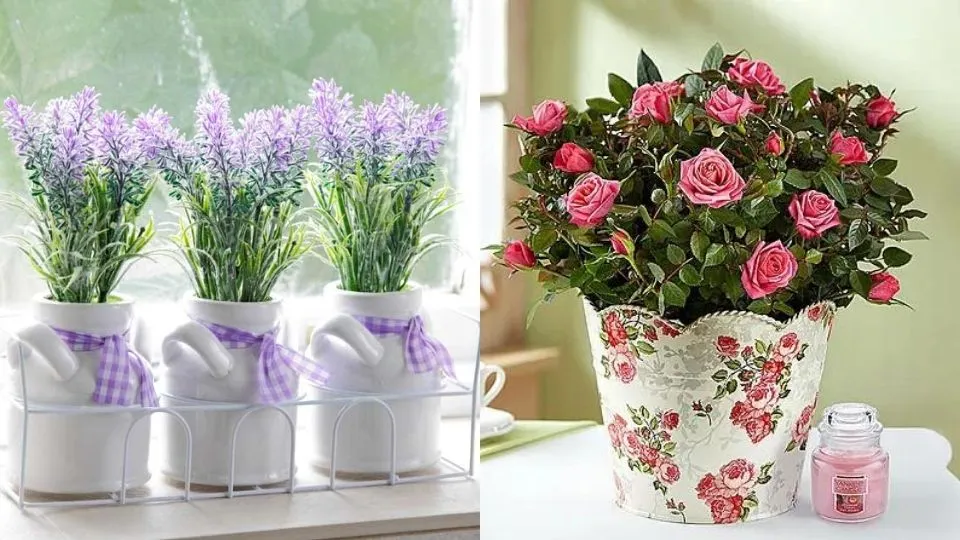 Tech Gifts for Mom