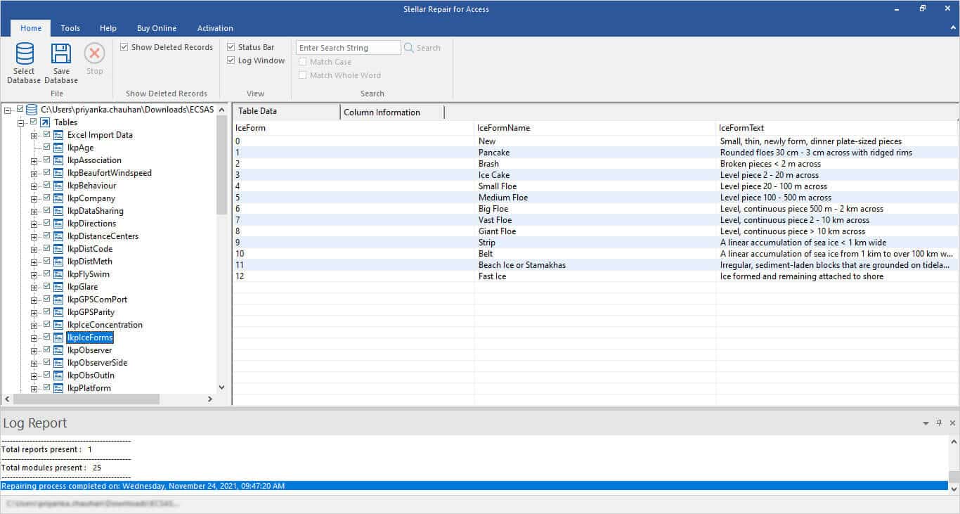 How to Repair Corrupt MS Access Database?